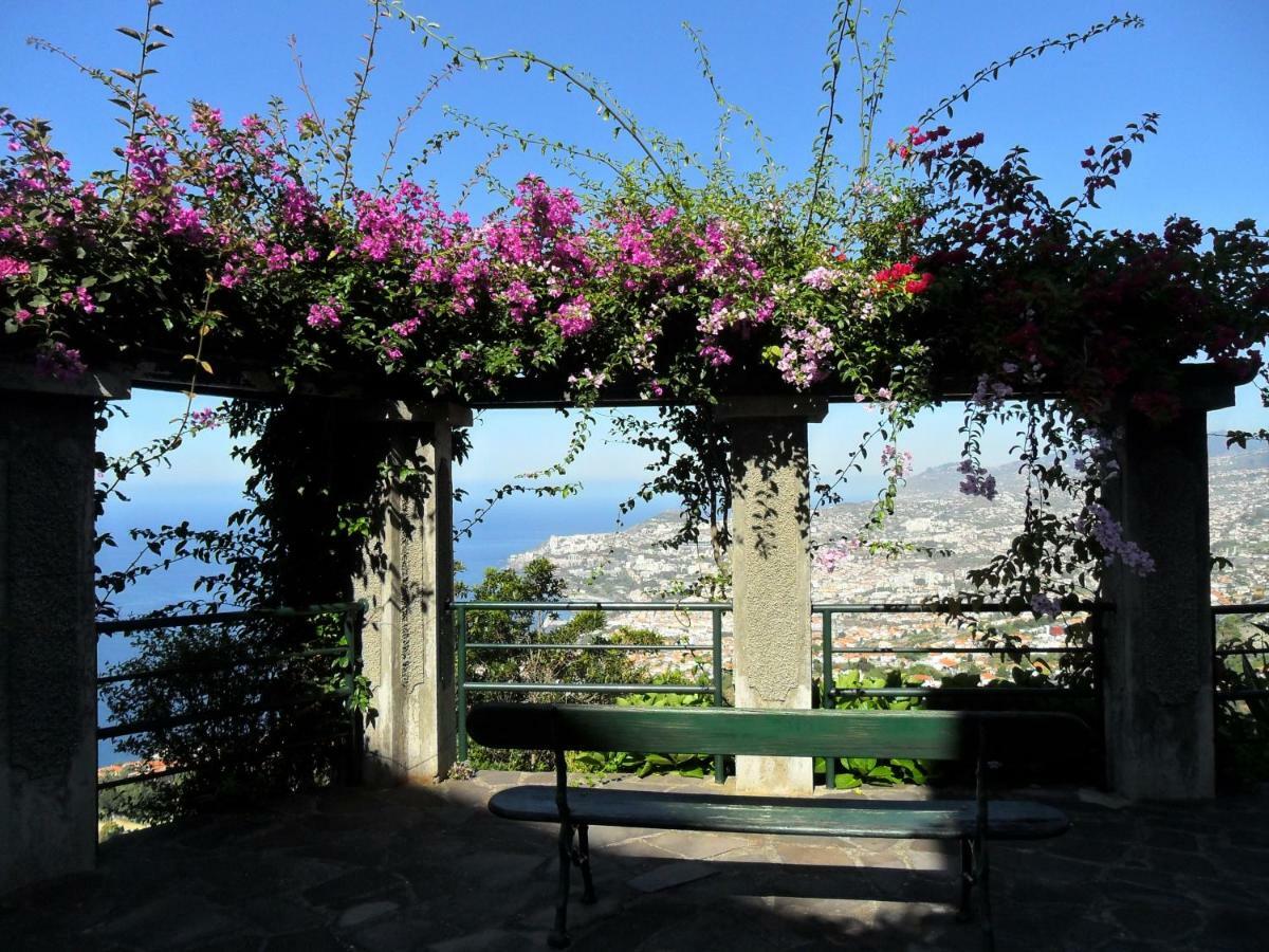 Bay View Apartment 丰沙尔 外观 照片